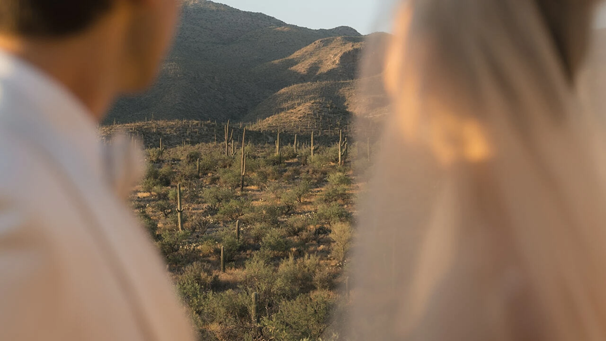 Arizona wedding couple in the desert